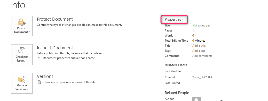 view document properties word