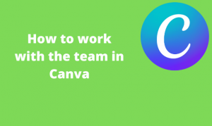 canva teams pricing