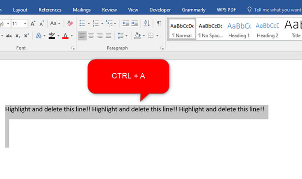 Edit Line In Word