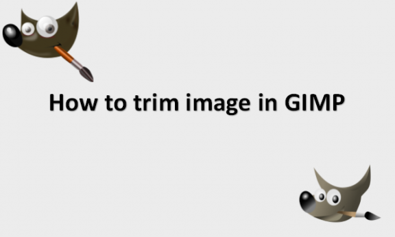 How to trim image in GIMP