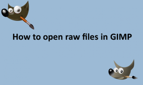 How to open raw files in GIMP