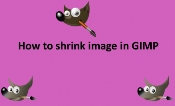 How to shrink image in GIMP